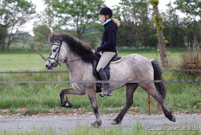 Arndis 2011_05_29 g.jpg - Arndis und Katharina - Probereiten auf der Passbahn auf Heesberg
